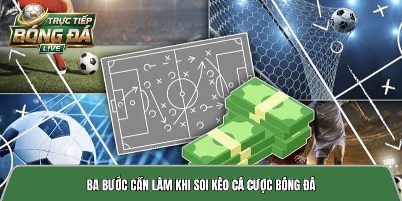Ba bước cần làm khi soi kèo cá cược bóng đá