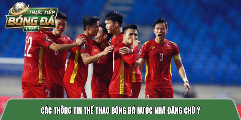 Các thông tin thể thao bóng đá nước nhà đáng chú ý