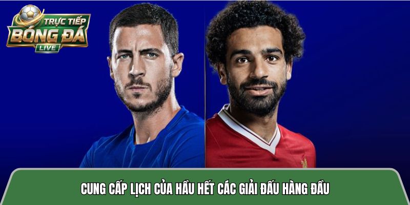 Cung cấp lịch của hầu hết các giải đấu hàng đầu