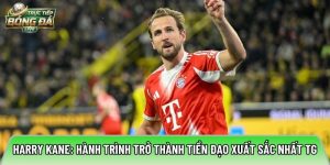 Harry Kane: Hành trình trở thành tiền đạo xuất sắc nhất TG